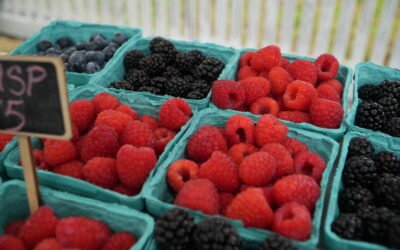 What We’re Most Excited About for the Upcoming Season