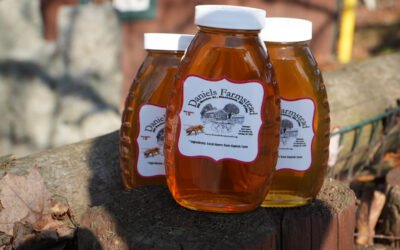 What You’ll Find at a Typical Daniels Farmstead “Farmers Market” Day